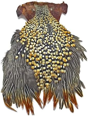 Amazon.com: 1 Piece - Grade B Natural Gold Jungle Cock Cape
